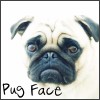 Pug Face - Avatars / Icons