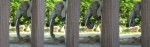 Elephant - Banners