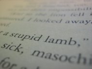 Stupid Lamb. - Stock Photos