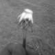 flower.jpg