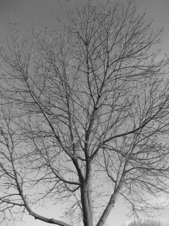 Click to view original image