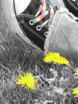 Flowers and Rainbow Laces