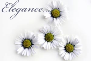 Click to view original image