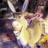 donkey