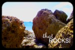 That Rocks!