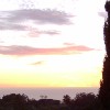 Purple's Cloud