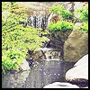 Japanese Garden~