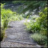 Path's Unknowm