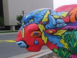 Buffalo