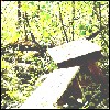 Nature's Table