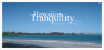 Hawaiian Tranquility