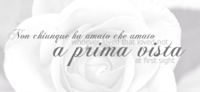 Click to view original image