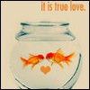 it is true love.