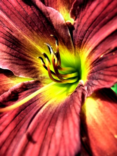 Click to view original image
