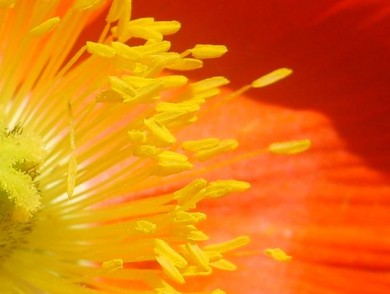 Click to view original image