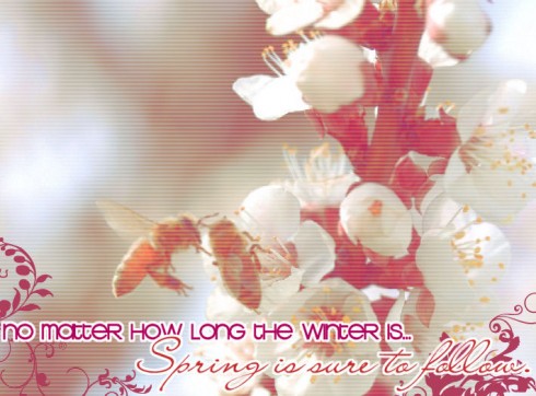 Click to view original image