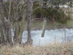 Frozen River.