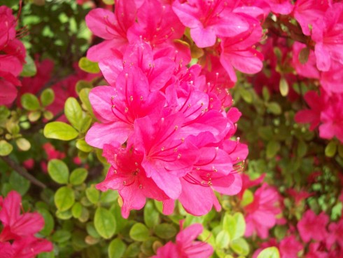 Click to view original image