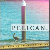 Pelican