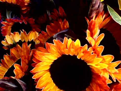 Click to view original image