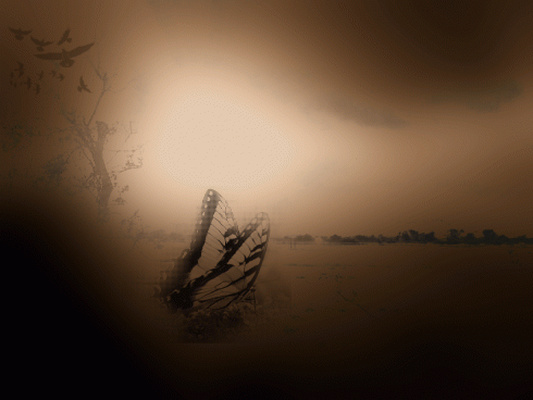 Click to view original image