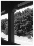 view from inside