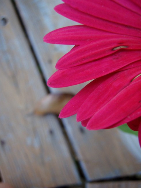 Click to view original image