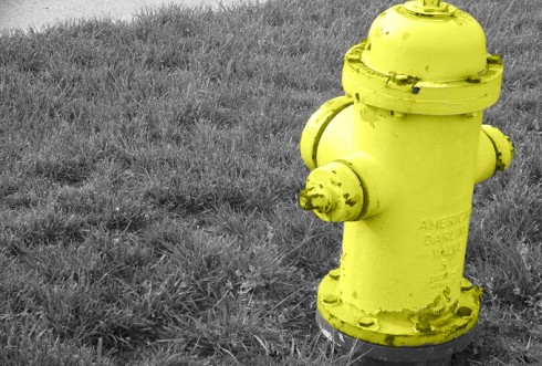 Click to view original image