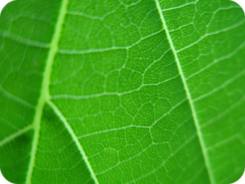 Click to view original image