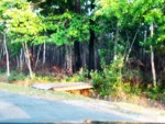 Path to Somewhere