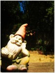 Gnome