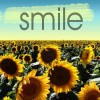 Sunflower Smile Icon