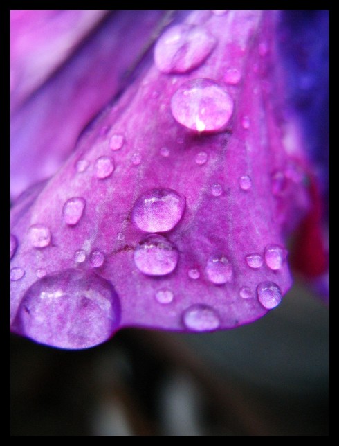 Click to view original image