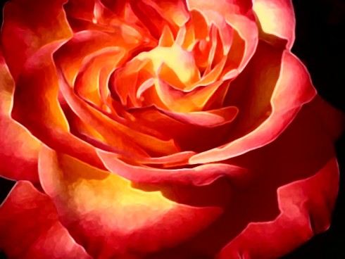 Click to view original image