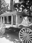 Disney's Haunted Mansion Carriage