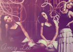 Amy Lee Banner