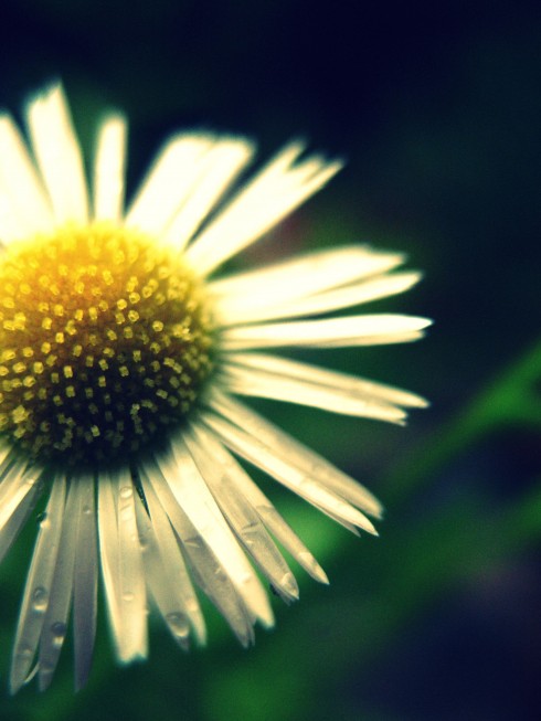 Click to view original image
