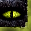 Eye III.
