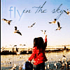 fly in the sky