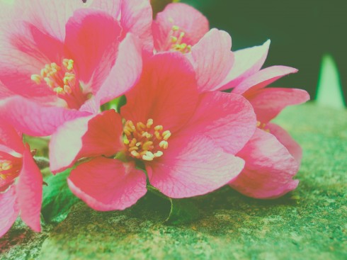 Click to view original image