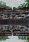 Railroad Track Reflected
