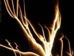 The Fire Tree