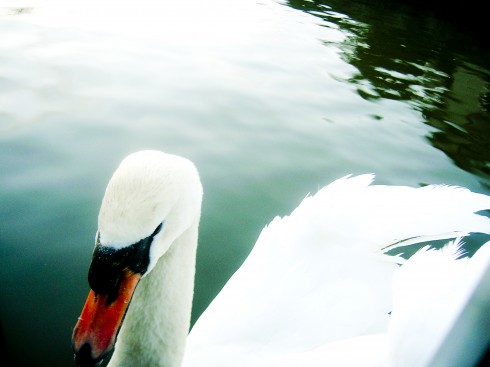Click to view original image
