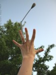 Reach For The Sky