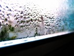 Condensation Sensation