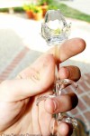 Crystal Rose