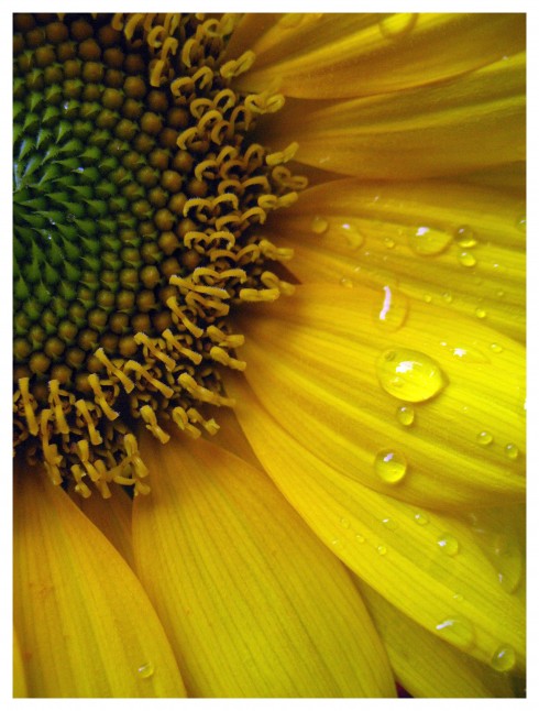Click to view original image