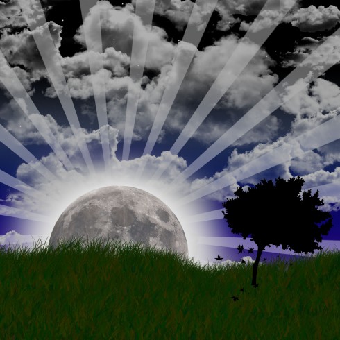 Click to view original image