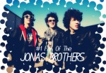 #1 Fan Of The Jonas Brothers