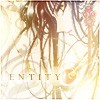 Entity